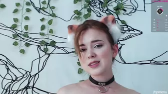 tayasha luxurious mare